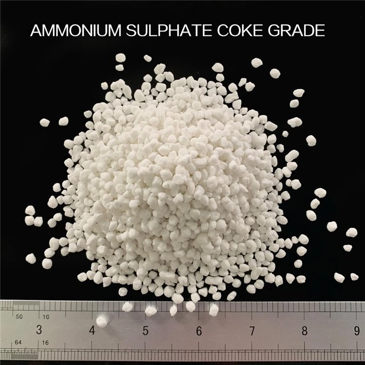 Grau de coc de sulfat d’amoni